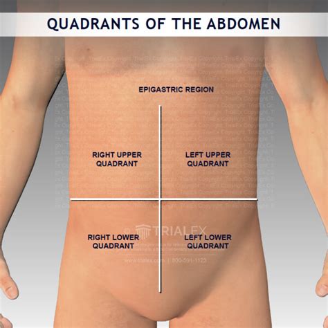 Anatomical Quadrants Diagram Quadrants Of The Abdomen