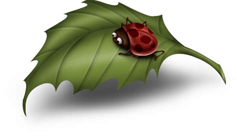 Cartoon Ladybug On Leaf Clipart Gallery Yopriceville High Quality