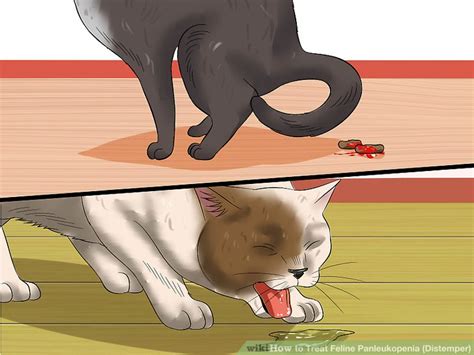 The classic symptoms of canine distemper most commonly involve the respiratory tract and also include nasal discharge, conjunctivitis, cough and fever. How to Treat Feline Panleukopenia (Distemper) (with Pictures)