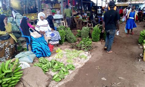 Tanzania Agronomists Borrow Leaf From Swaziland Farmers Daily News