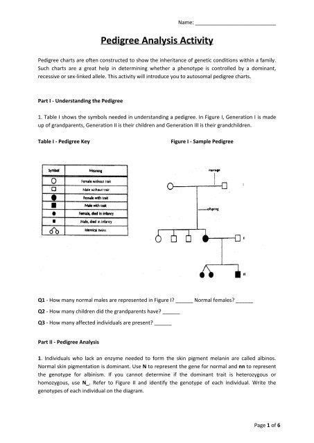 The disorder causes a lack of pigment in the skin and hair pedigree charts worksheets background information. Genetics Pedigree Worksheet Answers Pedigree Analysis ...