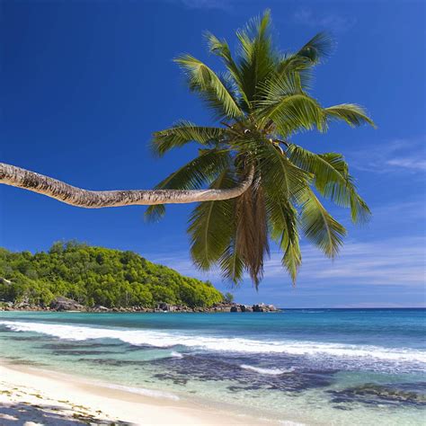 Takamaka Bay Seychelles Attractions Lonely Planet