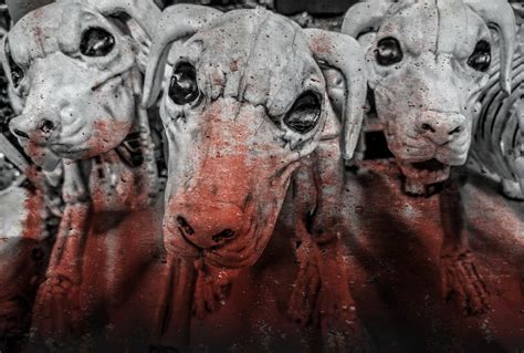 These 5 Parasites Will Turn Animals Into Zombies Before Killing Them