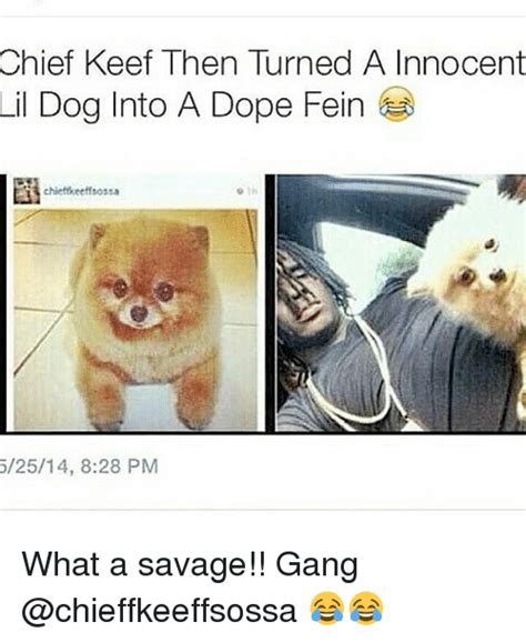 Chief Keef Then Turned A Innocent Dog Into A Dope Fein Lil