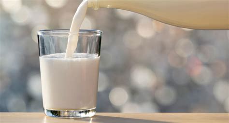 Peta Claims Cows Milk Is A Symbol Of White Supremacy