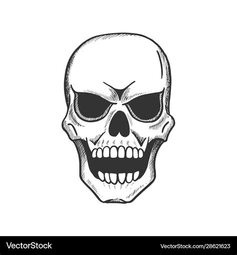 Skull Scary Human Skeleton Head Sketch Royalty Free Vector