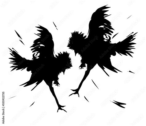 Vetor De Silhouettes Of Fighting Cocks Vector Illustration Isolated On
