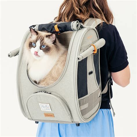 3 Benefits Of Using A Cat Travel Backpack Ibiyaya Pet Products