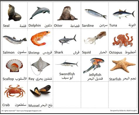 اسماء حيوانات البحر بالعربية