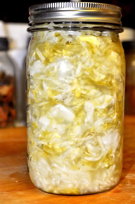 Many factors affect fermentation, including the type of probiotic, the primary metabolites these microbes produce (such as lactic acid, or certain amino acids), and the food undergoing fermentation. Preserving Food with the Lactic-Acid Fermentation Method ...