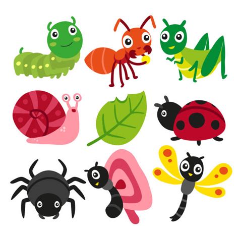 Best Caterpillar Insect Illustrations Royalty Free Vector Graphics