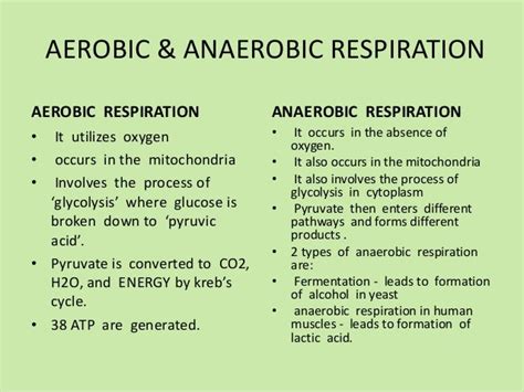 Difference Between Aerobic And Anaerobic Respiration Slide Share