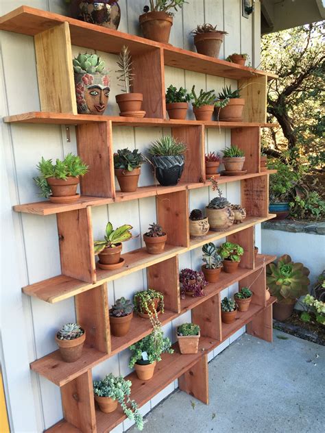 My Husbands Wonderful Succulent Shelf Plant Shelves Outdoor