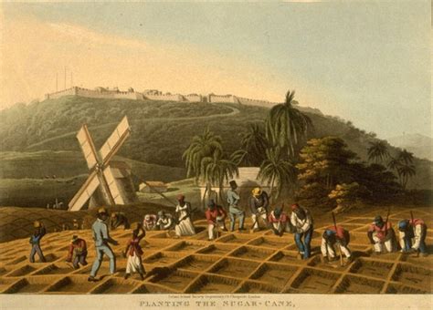 12 Facts About Slavery In Jamaica That Shaped Its Society Atlanta
