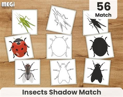 Insect Shadow Match Game With Realistic Pictures 28 Insect Etsy In