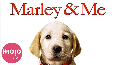 The alaska airlines policy states, pet parents must be 18 years or older to travel with a pet in the cabin and are not allowed to occupy an emergency exit row seat. Top 10 Best Dog Movies - YouTube