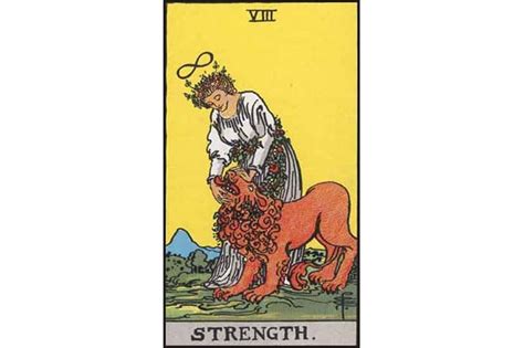 Check spelling or type a new query. Strength Tarot Card Meaning | Tarot Prophet