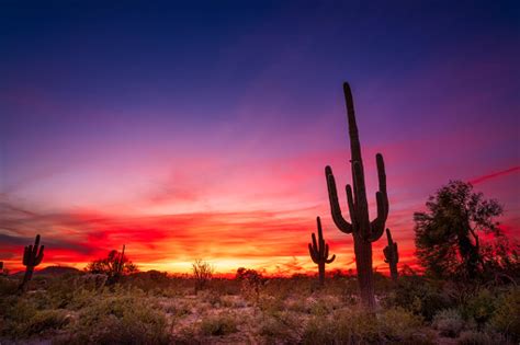 Arizona Desert Landscape At Sunset Stock Photo Download
