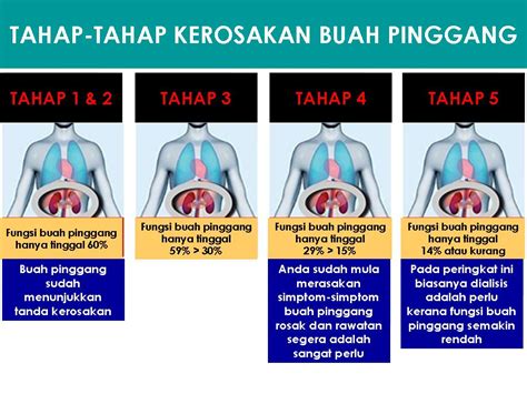 Pada waktu itu saya sedang mengalami masalah sakit pinggang dan sakit belakang yang sangat teruk. Tanda-Tanda Sakit Buah Pinggang Rosak & Cara Atasinya ...