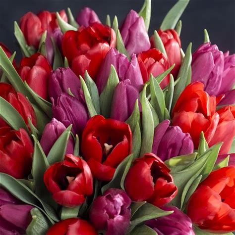 What's the most romantic flower. Romantic Tulips The Flower Company Florist Inverness