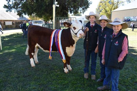 2017 Royal Bathurst Show Agriculture Vital To Future Western