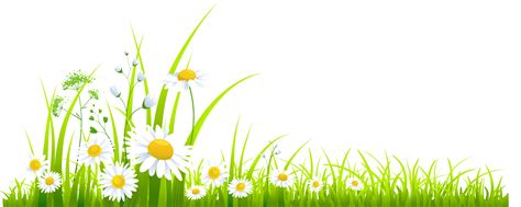 Spring grass clipart - Clipartix | Grass clipart, Spring grass, Spring clipart