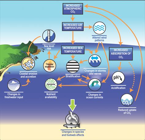 Factors Affecting Nearshore Strategy Species And Habitats
