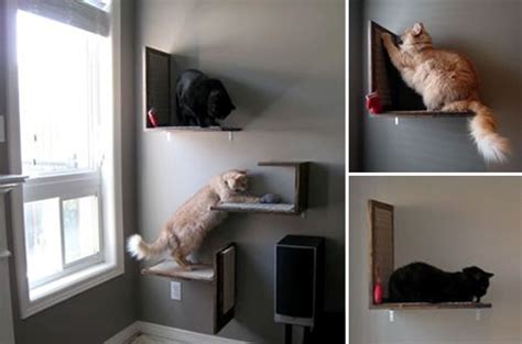 Alibaba.com offers 1,996 climbing shelves products. Jake and Karen's DIY Modern Cat Platforms | Cat wall ...