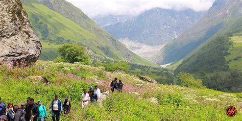 Valley Of Flowers The National Park Of Flowers In 2020 National