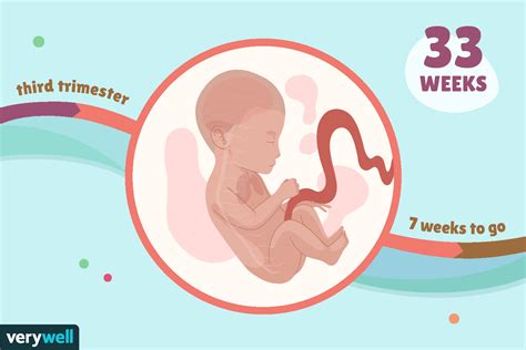 33 Weeks Pregnant Baby Development Symptoms And More