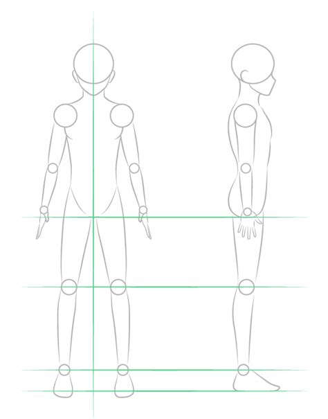 How To Draw Anime Body Step By Step Male Learning Proportions Is One