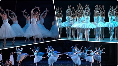 Highlights Of Classical Ballets I Youtube