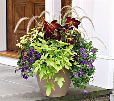 Best Summer Planter Ideas To Beautify Your Home 16