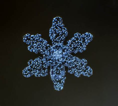 Sparkling Snowflakes Photography