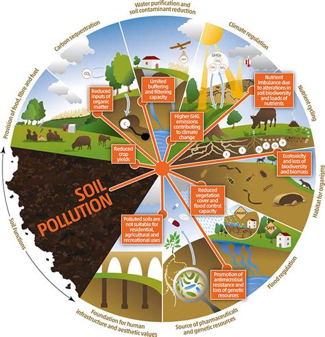 Control Of Soil Pollution Various Causes Of Soil Pollution The Best