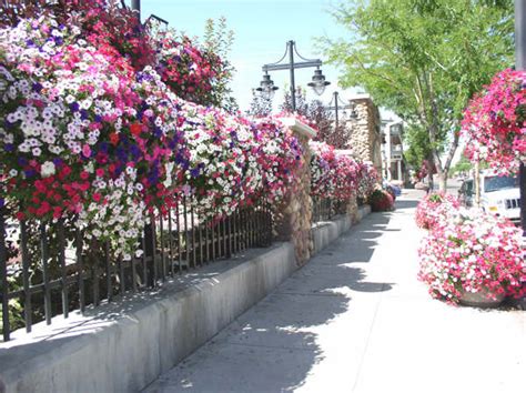 From the funeral home to st. Could Your Town be as Pretty as Your Garden? | Proven Winners