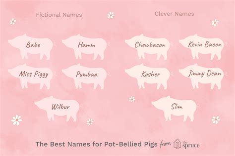 46 Awesome Names For Pot Bellied Pigs