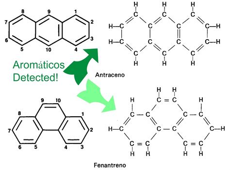 Hidrocarburos Química Orgánica