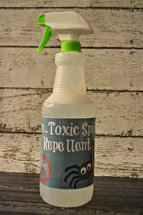 Homemade Non Toxic Spider Repellent Diy Building Our Story