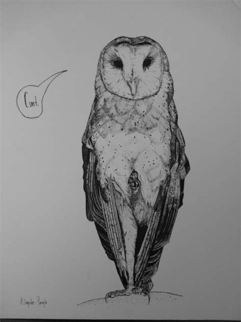 Bird Drawing On Tumblr