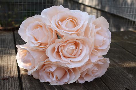 7 X Very Pale Peach Silk Roses 7cm On Individual Wired Stems Etsy Uk