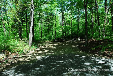 Woodford State Park Campsite Photos Camp Info And Reservations