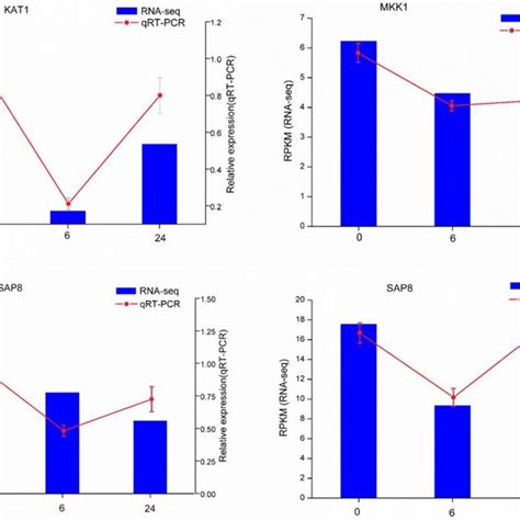 Qrt Pcr Verification Of Four Selected Degs Comparison Of Rna Seq Data