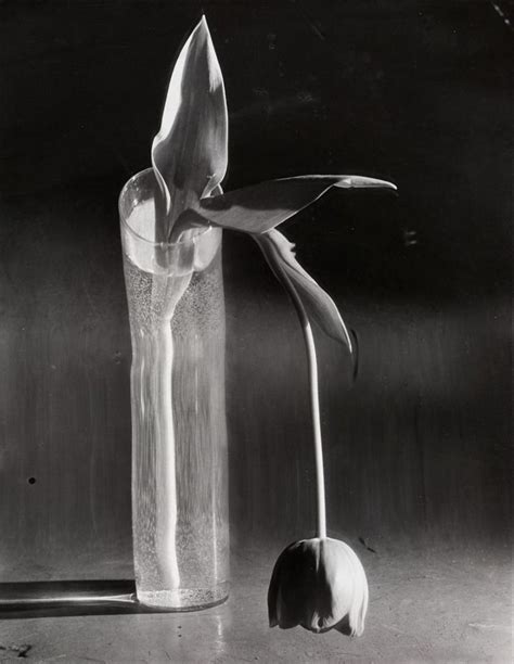André Kertész Photographers Biography And Art Works Huxley Parlour