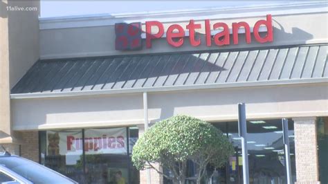 Judge throws out Petland 'puppy mill' lawsuit | 11alive.com