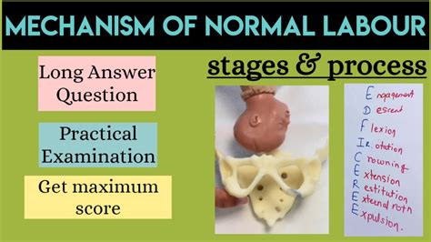 Mechanism Of Labour Normal Delivery Mechanism Of Labour Mnemonics