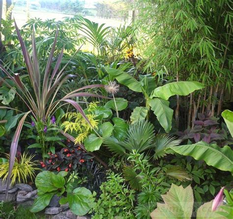 20 Popular The Sub Tropical Garden Or Beauty Of Form In The Flower Garden
