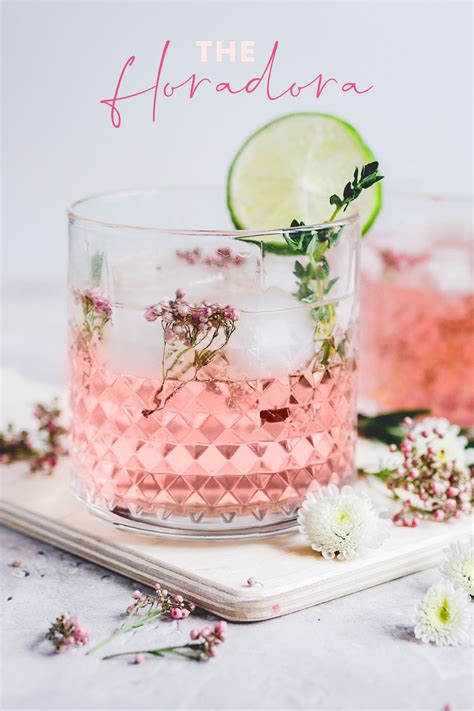This Classic Pink Raspberry Ginger Ale And Gin Cocktail Is Utterly Gorgeous — Craft Gin Club