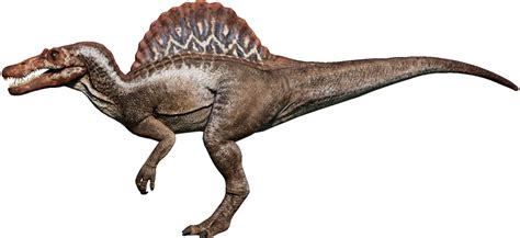 Jurassic World Evolution Spinosaurus Render 1 By Tsilvadino On Deviantart