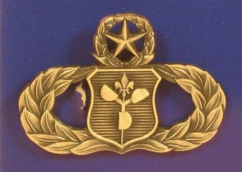 Usaf Air Force Master Meteorologist Oxidize Large Badge Insignia Pin Ebay